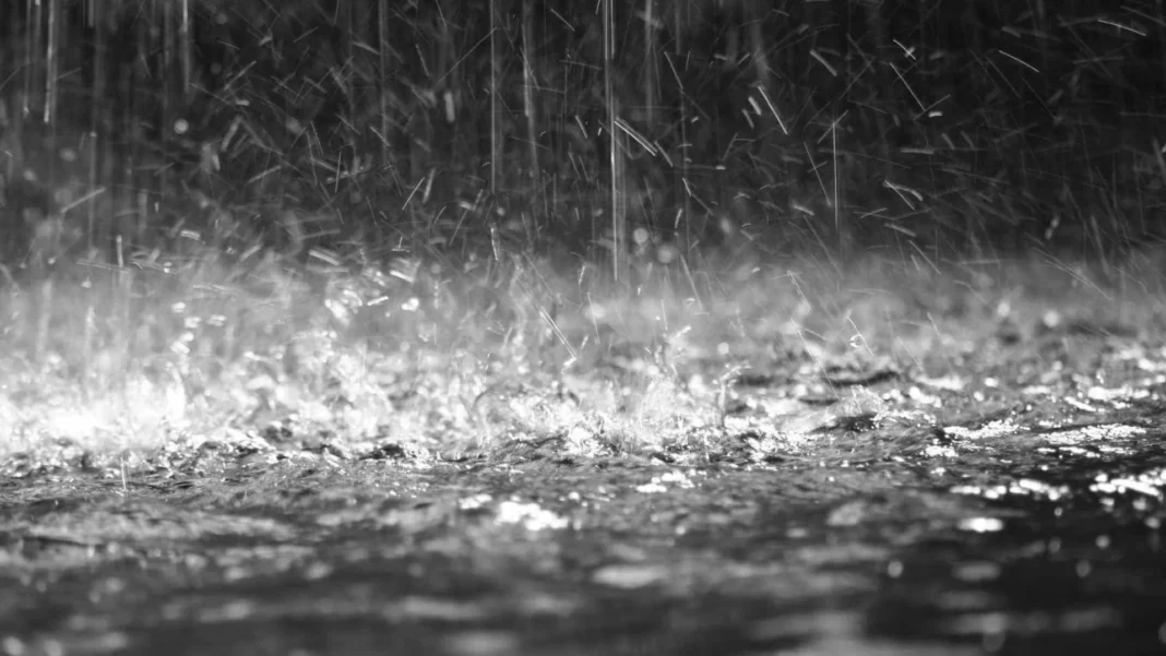 idoso-morre-em-alagamento-na-zona-leste-de-sao-paulo