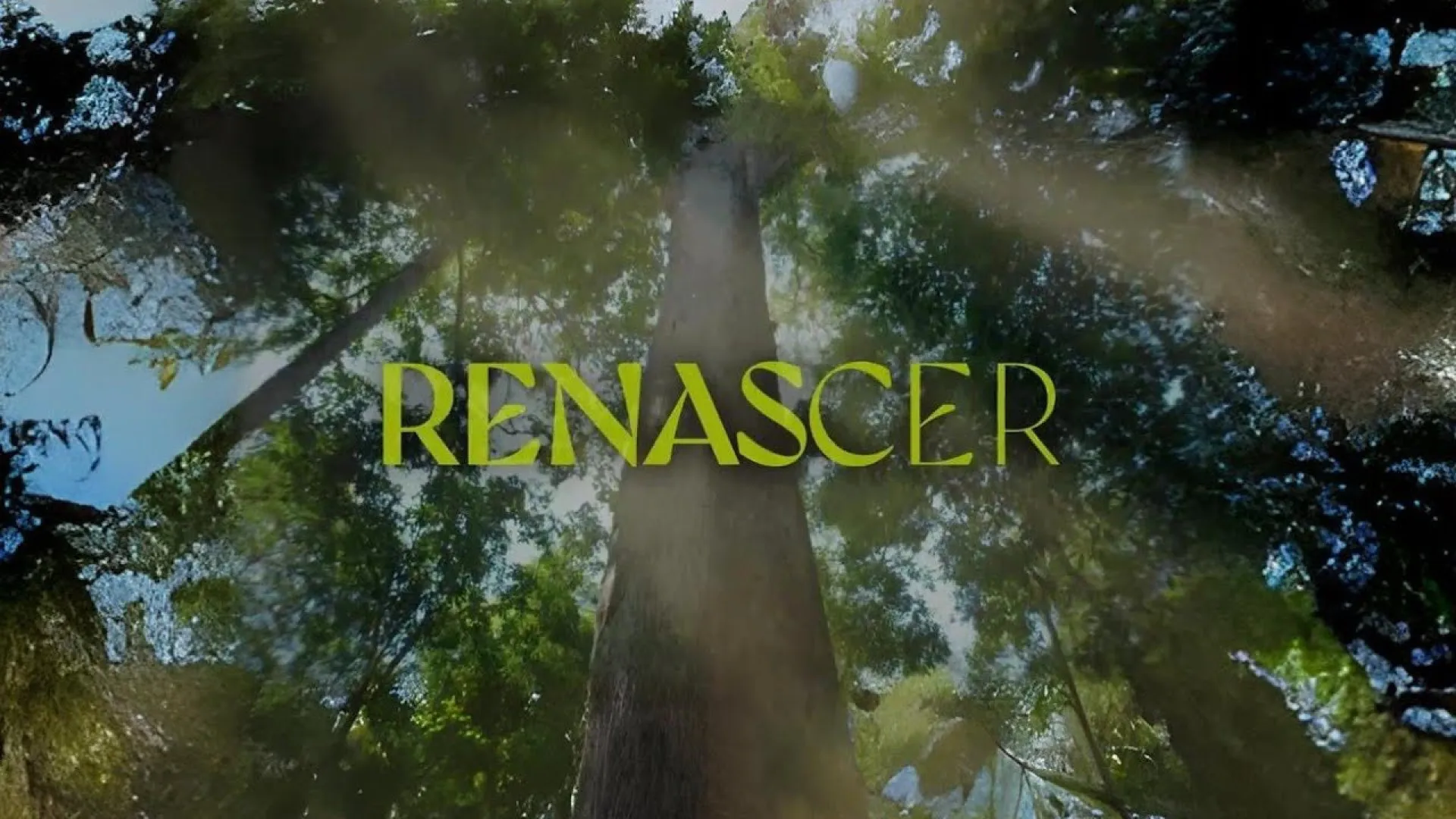 fazenda-de-‘renascer’-esta-a-venda-por-r$-1,8-milhao