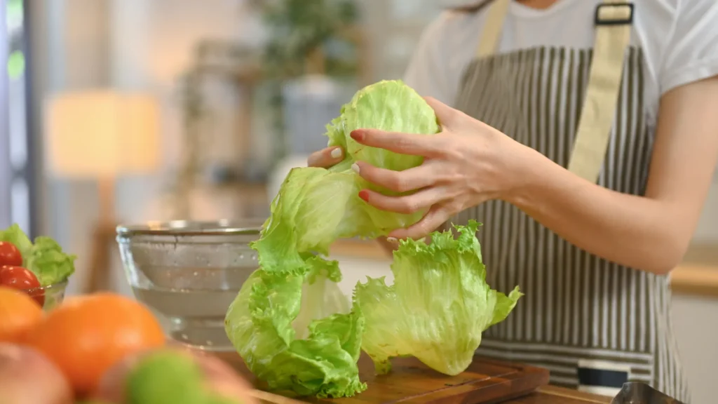 como-conservar-a-alface-fresca-por-mais-tempo;-entenda