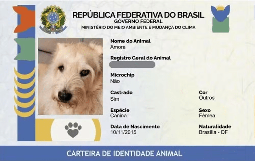 ‘rg-animal’:-passo-a-passo-para-criar-documento-gratuito-para-caes-e-gatos