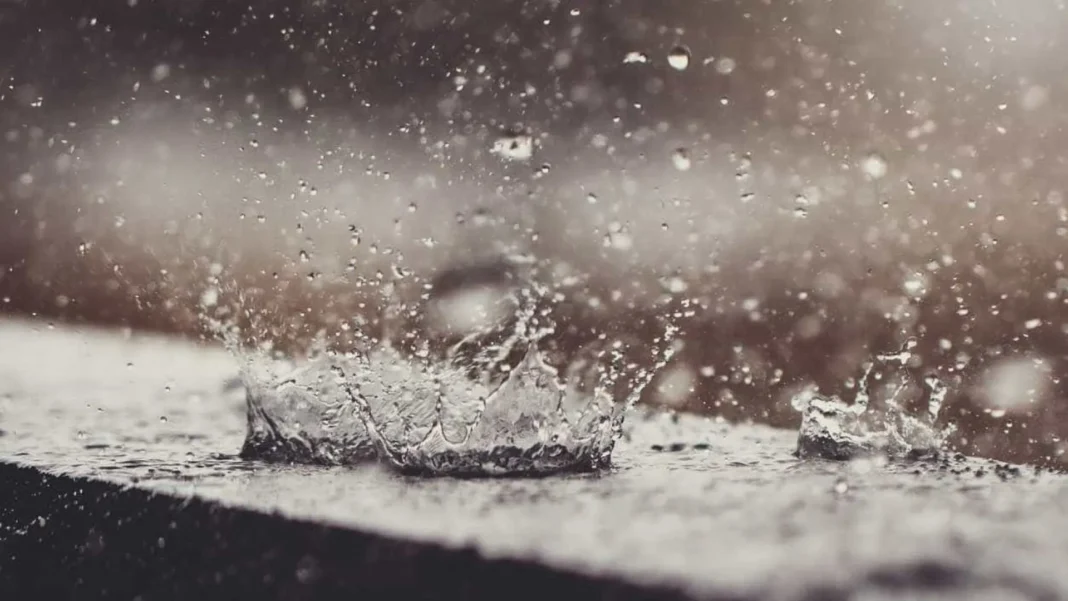 agua-da-chuva-pode-estar-contaminada-por-agrotoxico,-diz-estudo