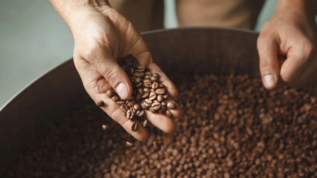 como-o-cafe-influencia-o-microbioma-intestinal:-o-que-a-ciencia-revela