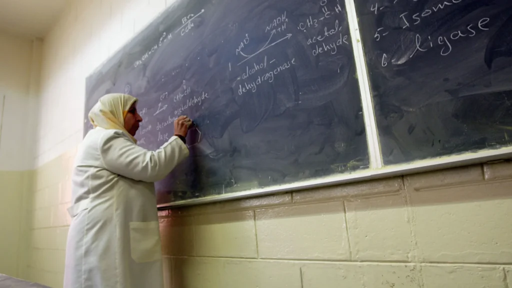 paises-que-enfrentam-as-maiores-taxas-de-‘fuga-de-cerebros’