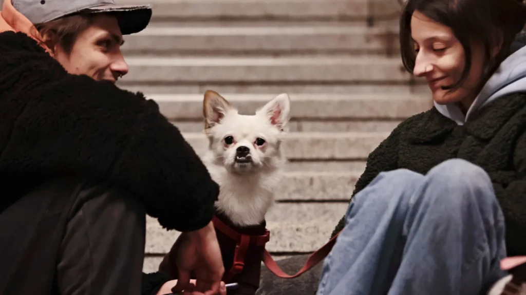 qual-animal-de-estimacao-e-a-sua-cara?-a-resposta-esta-no-seu-jeito-de-ser