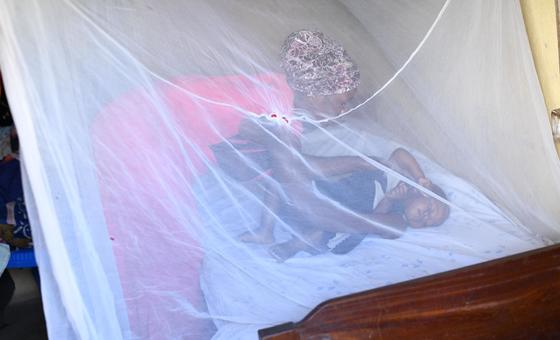 oms-pede-esforcos-para-acabar-com-a-malaria-no-mundo oms-pede-esforcos-para-acabar-com-a-malaria-no-mundo