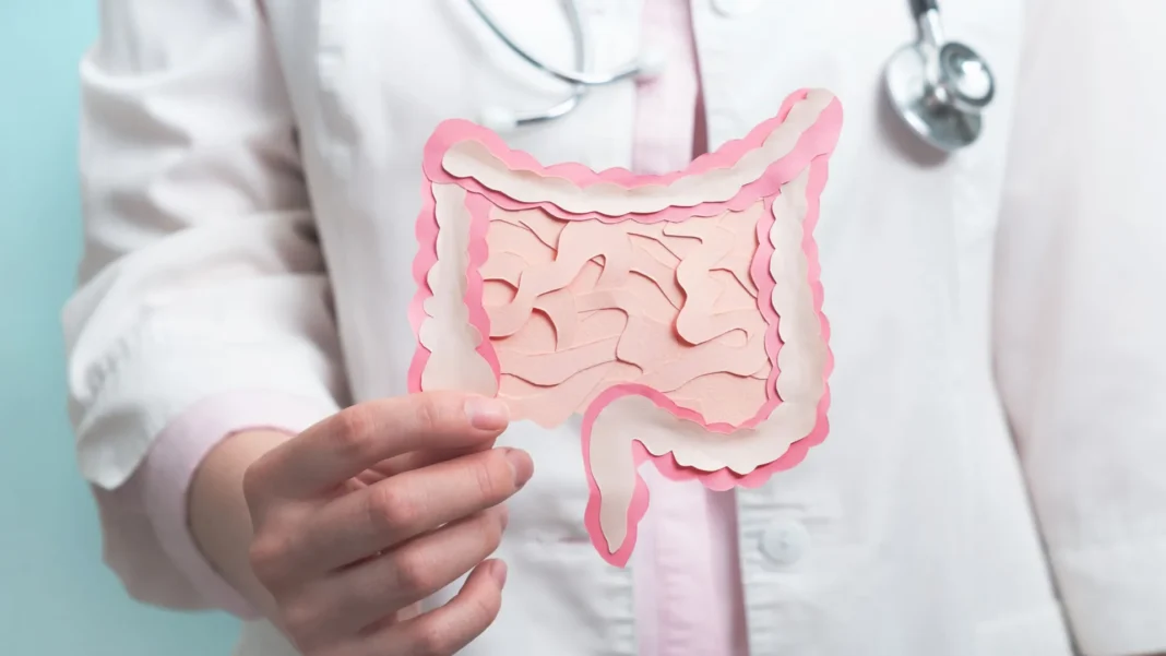 o-alimento-rico-em-fibras-que-e-saciante-e-faz-muito-bem-ao-intestino