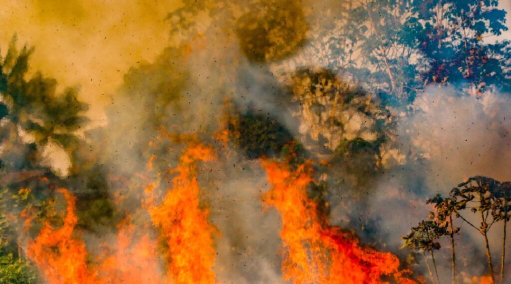 Em 2025, Acre registra quase o dobro de queimadas em comparação com o ano passado – Cidade AC News em-2025,-acre-registra-quase-o-dobro-de-queimadas-em-comparacao-com-o-ano-passado
