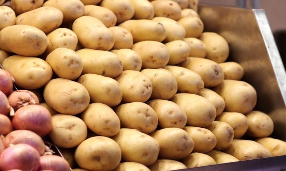 batata-e-alface-lideram-queda-de-precos-em-marco:-economize-ate-8%-nas-feiras-com-estas-dicas