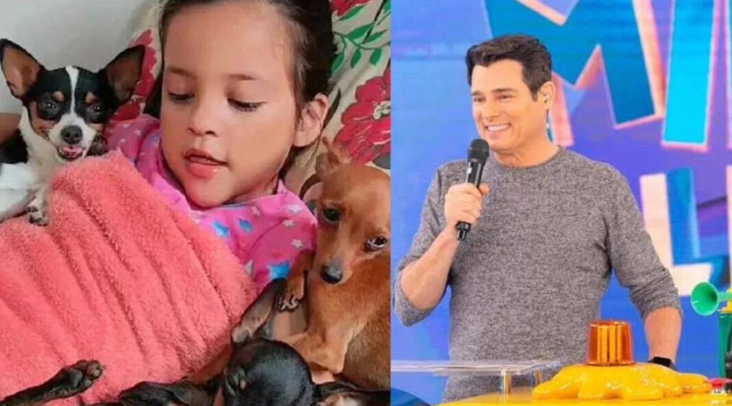 acreana-de-7-anos,-“encantadora-de-pinschers”,-representara-o-estado-no-domingo-legal-do-sbt
