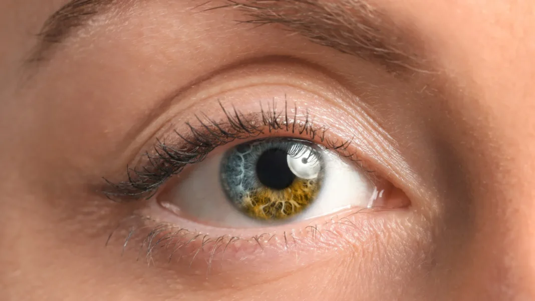 a-cor-dos-seus-olhos-pode-mudar-quando-voce-e-adulto?