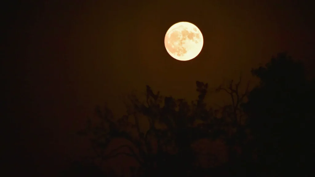maior-superlua-do-ano-pode-ser-vista-nesta-quinta-feira