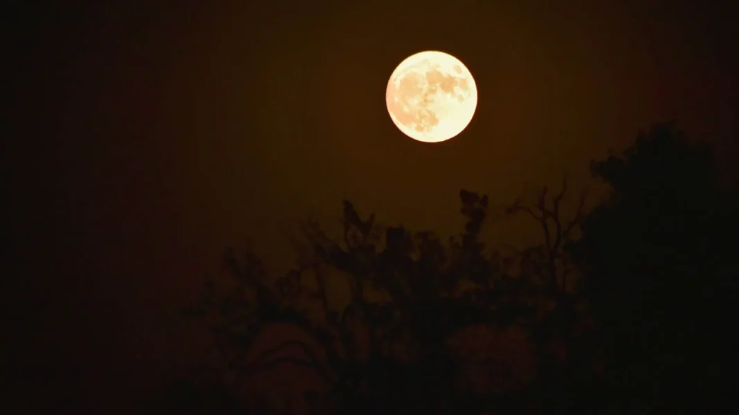 maior-superlua-do-ano-pode-ser-vista-nesta-quinta-feira