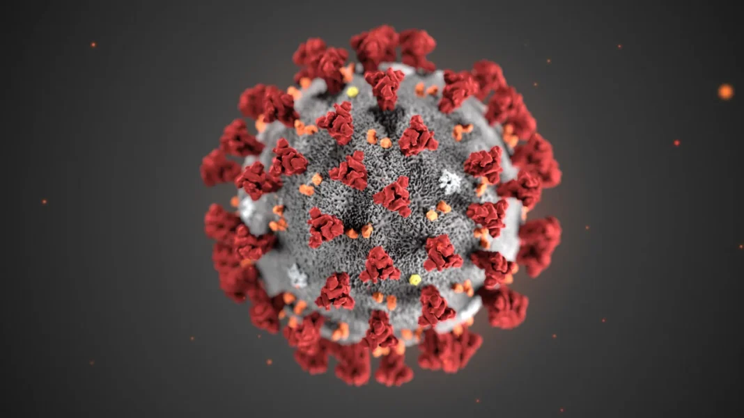 cientistas-anunciam-descoberta-de-gene-que-pode-proteger-contra-covid-19
