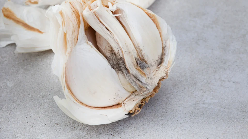 como-identificar-alho-estragado-e-preservar-seus-beneficios-para-a-saude