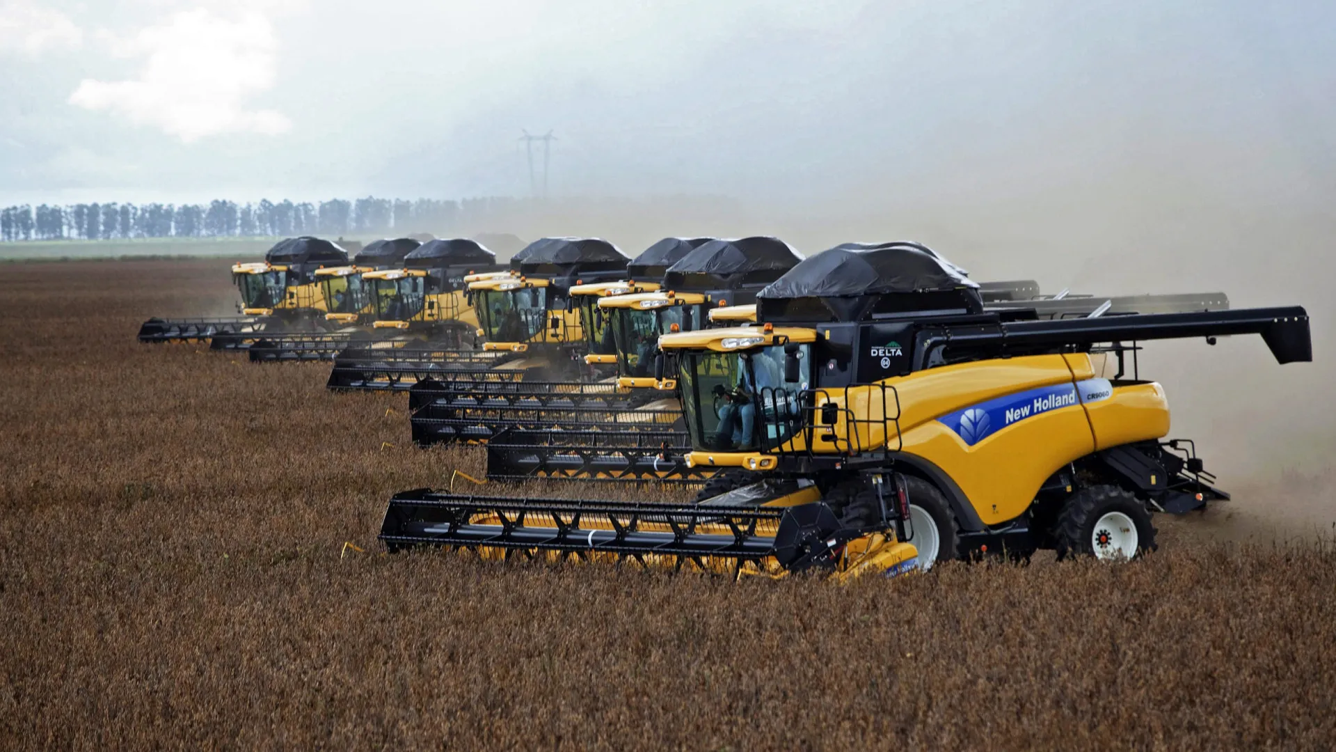 brasil-amplia-exportacao-de-soja-para-a-china-em-meio-a-guerra-comercial