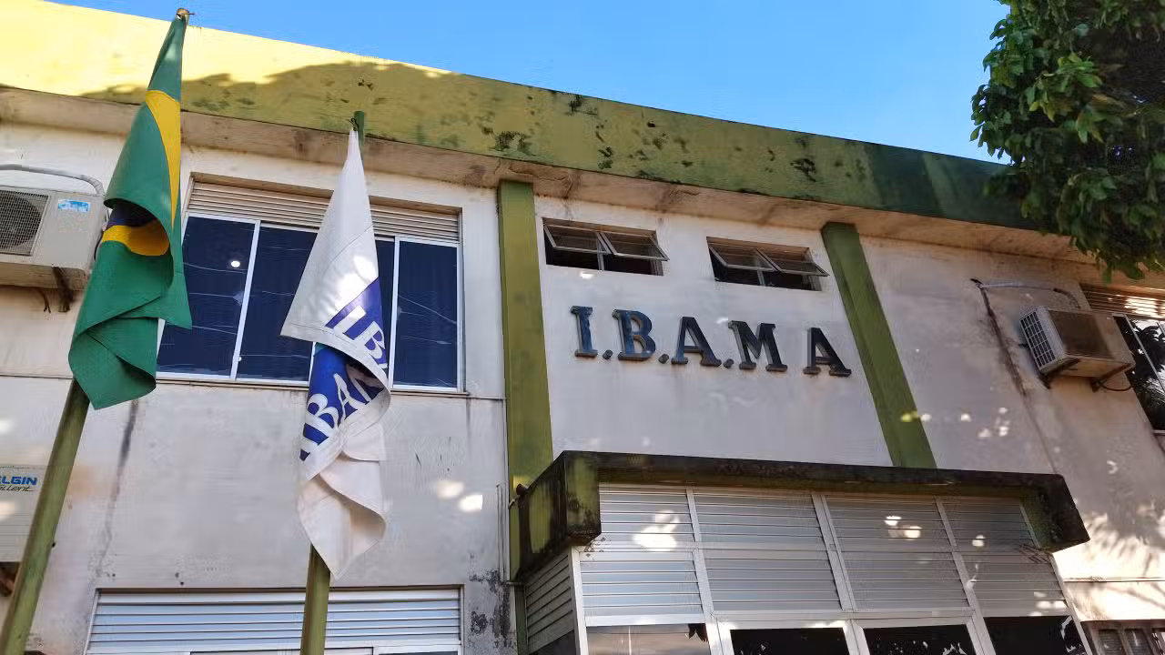 Ibama