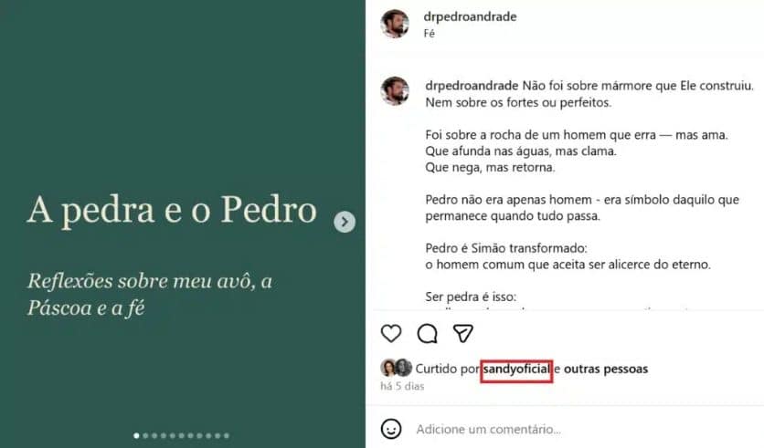 Sandy curte post de Pedro Andrade