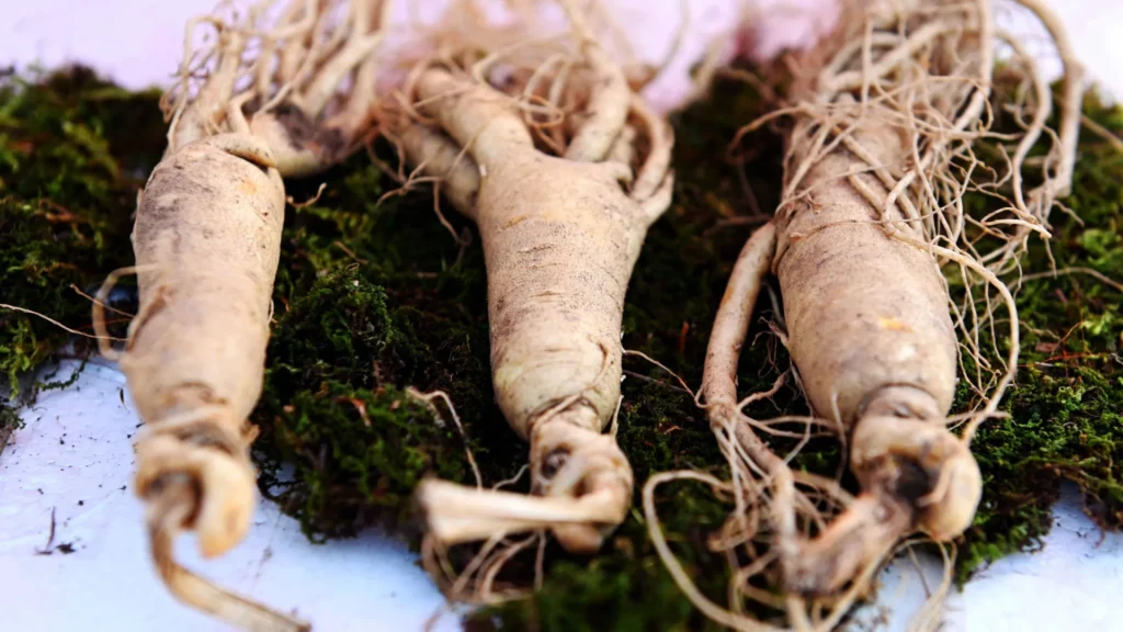 ervas-que-melhoram-o-equilibrio-hormonal-nas-mulheres