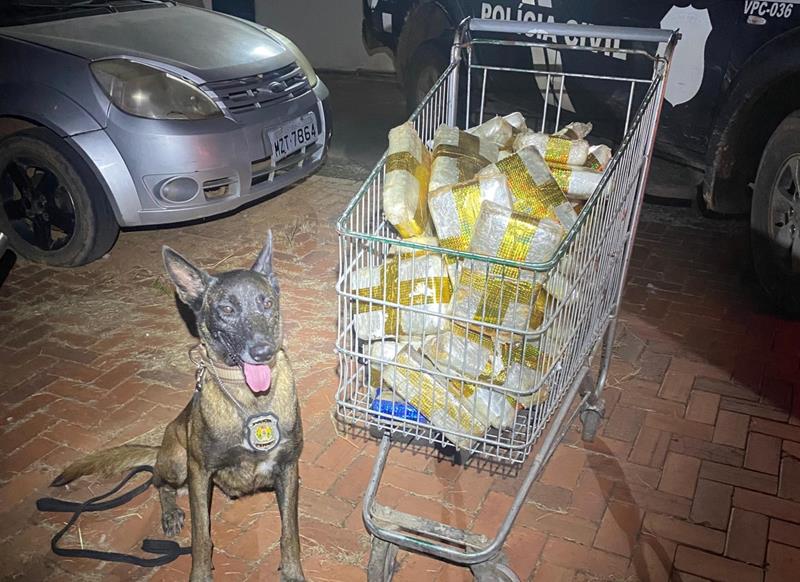 policia-apreende-mais-de-50-kg-de-drogas-avaliadas-em-r$-300-mil-em-transportadora-de-rio-branco