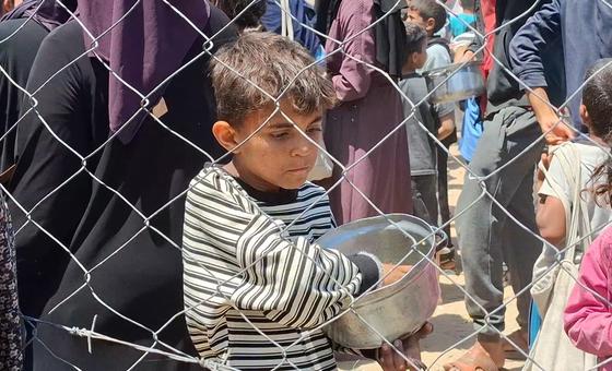 agencias-da-onu-criticam-plano-de-israel-para-entrega-de-ajuda-em-gaza agencias-da-onu-criticam-plano-de-israel-para-entrega-de-ajuda-em-gaza
