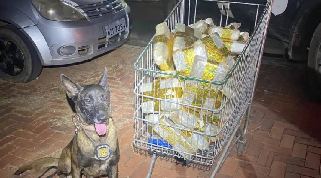 policia-apreende-droga-avaliada-em-r$-300-mil-em-transportadora-do-acre