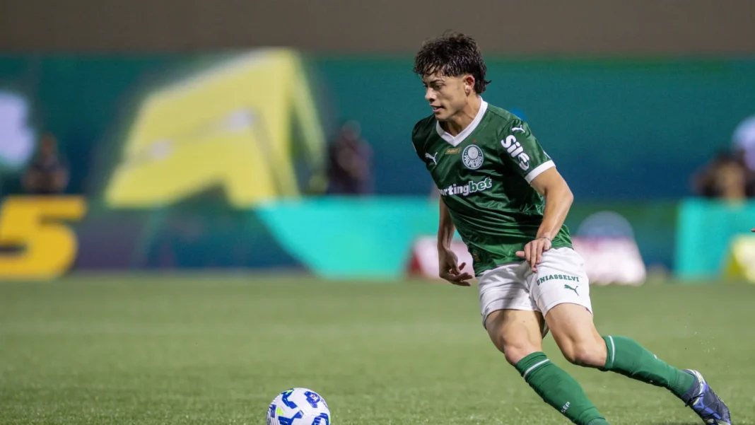 lideranca-e-possivel-recorde-de-publico-embalam-palmeiras para classico