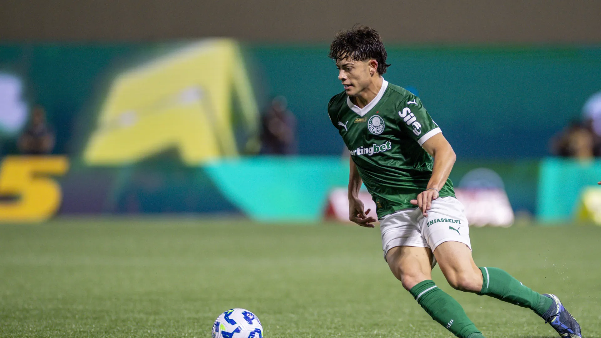 lideranca-e-possivel-recorde-de-publico-embalam-palmeiras para classico