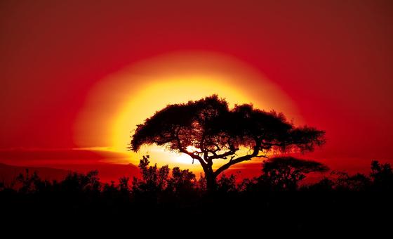 temperatura-extrema-e-mudanca-climatica-afetam-africa-de-forma-mais-ardua