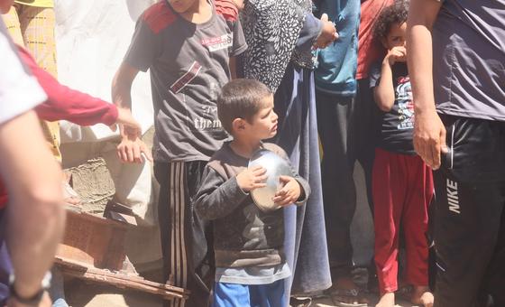 palestinos-em-gaza-estao-sob-risco-de-passar-fome,-dizem-especialistas palestinos-em-gaza-estao-sob-risco-de-passar-fome,-dizem-especialistas