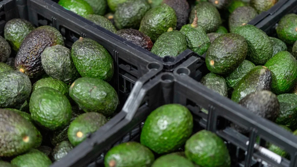 alimentos-que-ajudam-a-repor-a-deficiencia-de-minerais