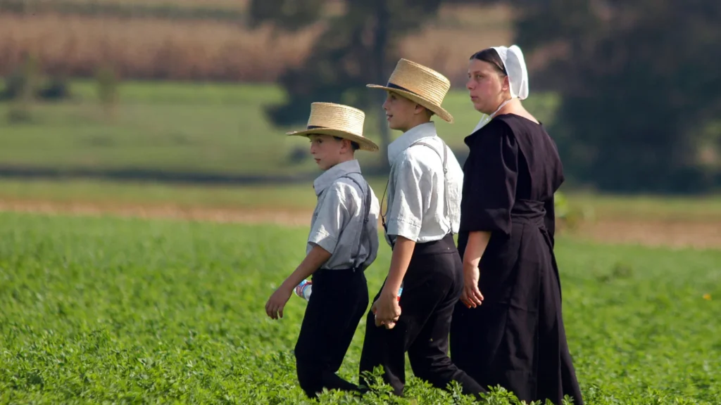 isolados-do-mundo?-regras-surpreendentes-que-os-amish-tem-de-seguir