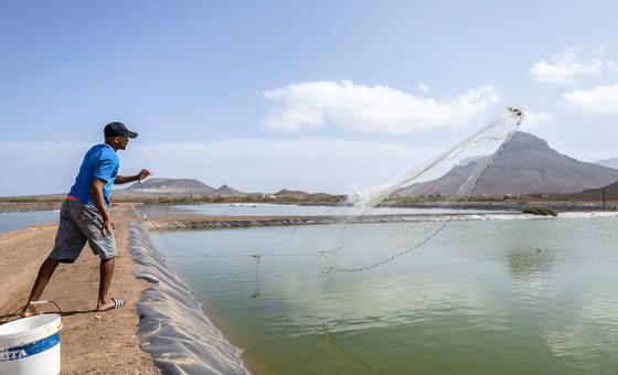 fmi-conclui-visita-a-cabo-verde-sob-otimismo-com-desempenho-da-economia fmi-conclui-visita-a-cabo-verde-sob-otimismo-com-desempenho-da-economia