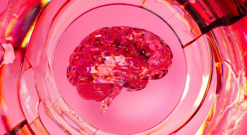 tecnologia-revoluciona-diagnostico-de-tumores-cerebrais tecnologia-revoluciona-diagnostico-de-tumores-cerebrais