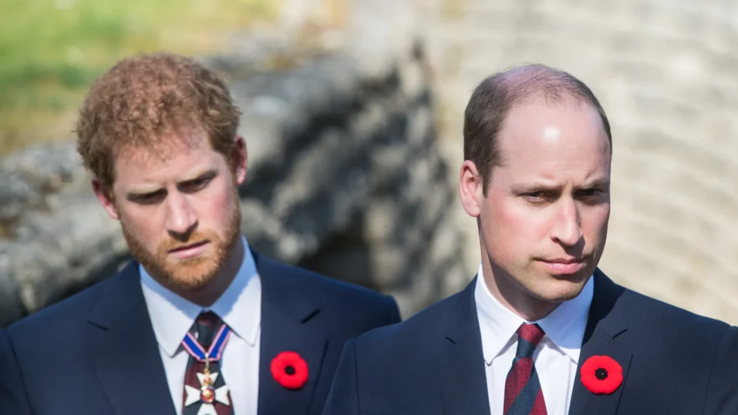 tio-morto-em-2024-deixa-william-e-harry-fora-de-heranca-de-r$-11,3-milhoes tio-morto-em-2024-deixa-william-e-harry-fora-de-heranca-de-r$-11,3-milhoes