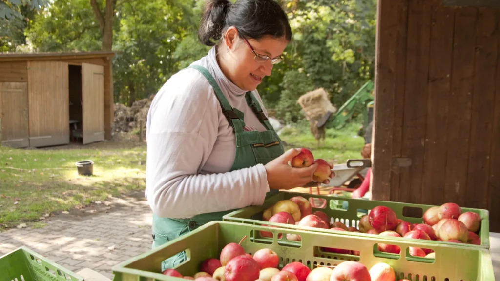 paises-que-mais-desperdicam-comida-–-brasil-se-destaca