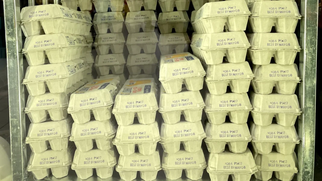 gripe-aviaria:-uruguai-flexibiliza-restricao-para-importacao-de-produtos-avicolas-do-brasil gripe-aviaria:-uruguai-flexibiliza-restricao-para-importacao-de-produtos-avicolas-do-brasil