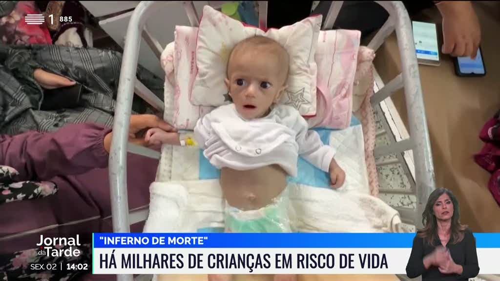 Fome na Faixa de Gaza coloca crianças em risco de vida | Cidade AC News – Notícias do Acre