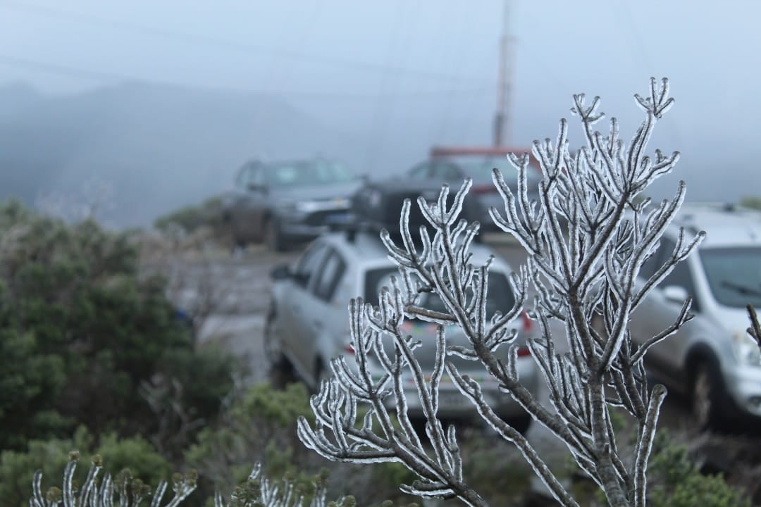 Geada Frio