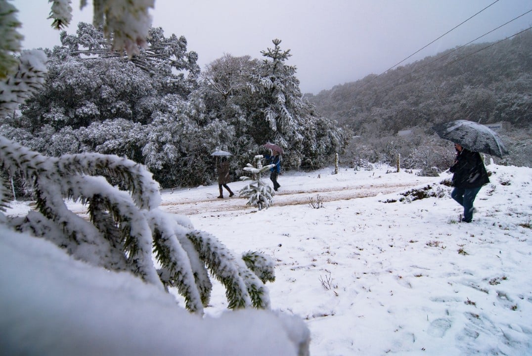 Neve