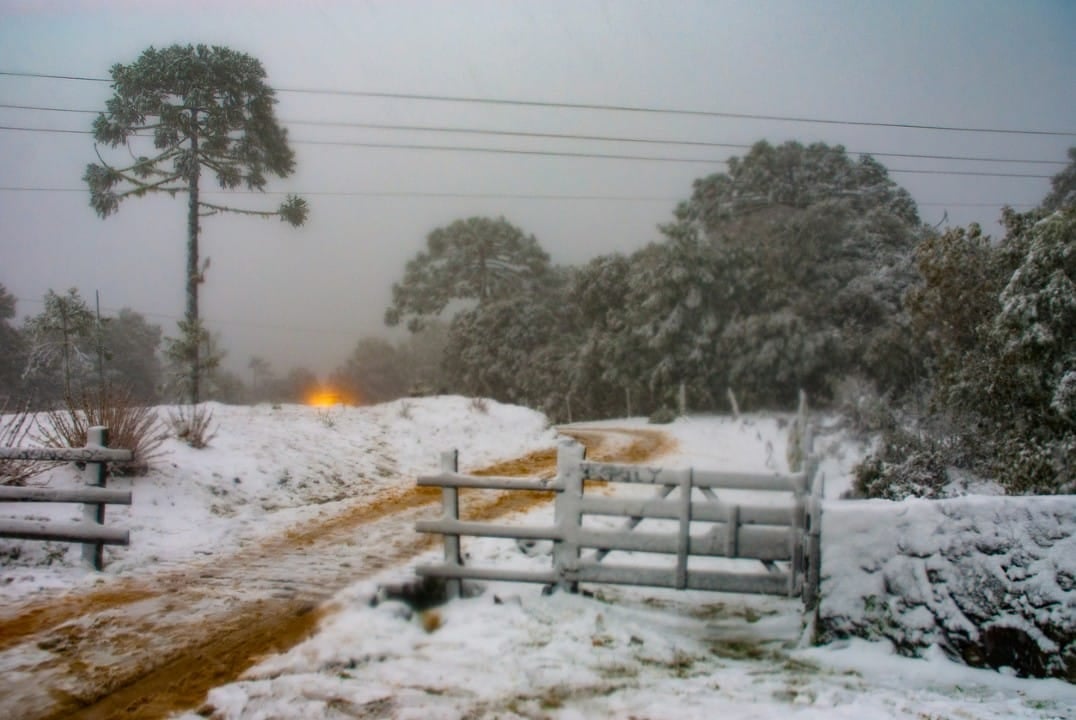 Neve