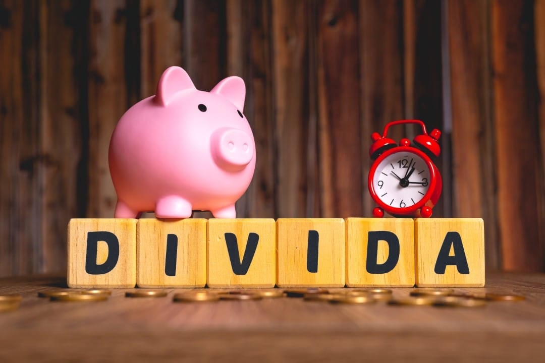 conta dividas cpf emprestimo