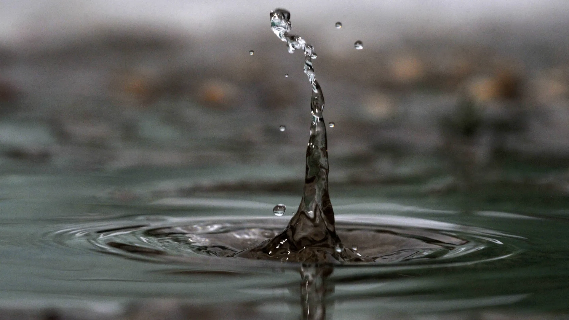novas-provas-negam-que-agua-tenha-chegado-a-terra-atraves-de-asteroides
