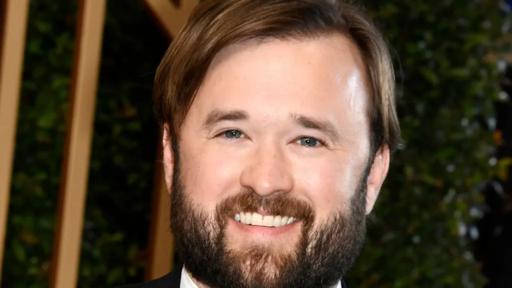 haley-joel-osment-deve-ir-a-reunioes-semanais-do-aa-apos-prisao,-diz-jornal