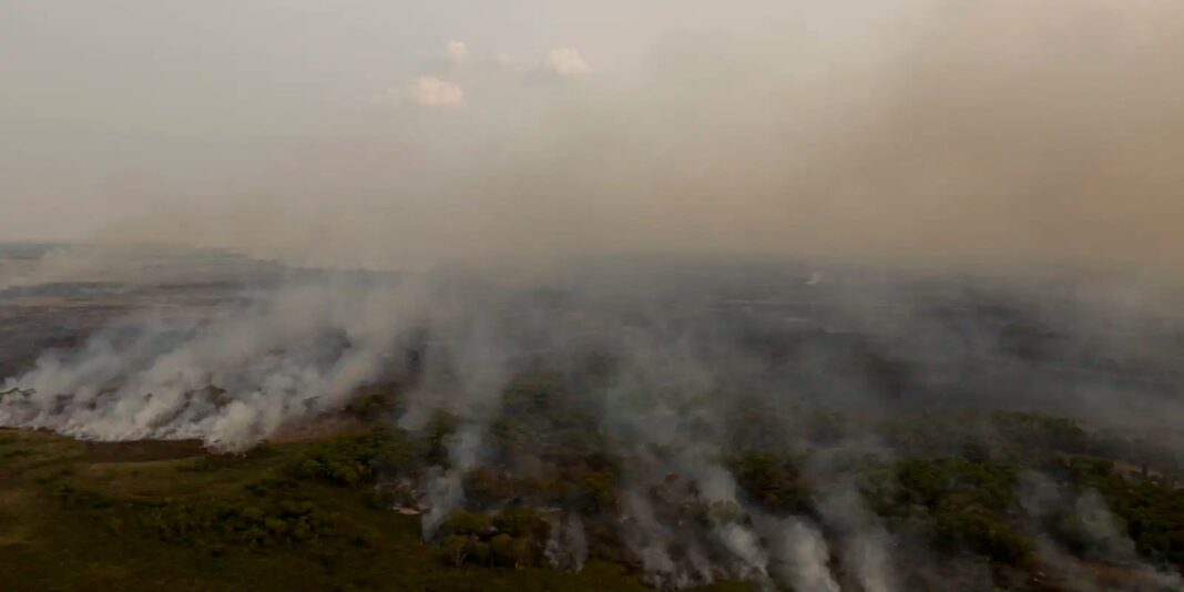 acre-queimou-332-hectares-de-florestas-publicas-nao-destinadas-em-2025