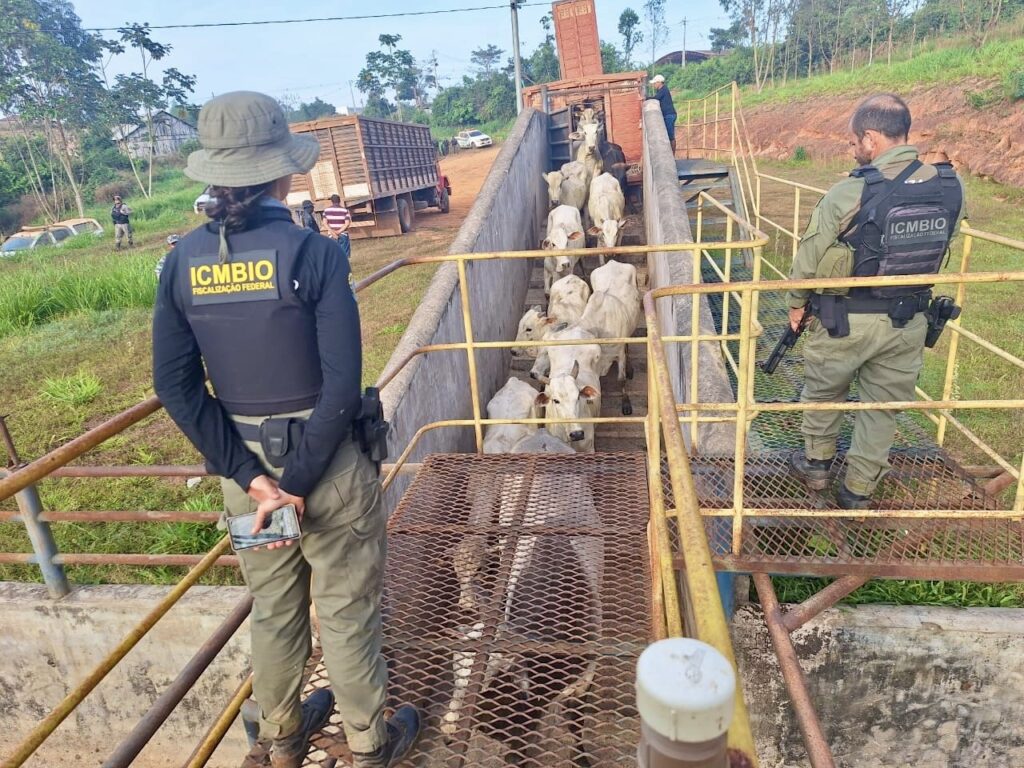 icmbio-denuncia-acoes-criminosas-contra-a-fiscalizacao-na-reserva-extrativista-chico-mendes