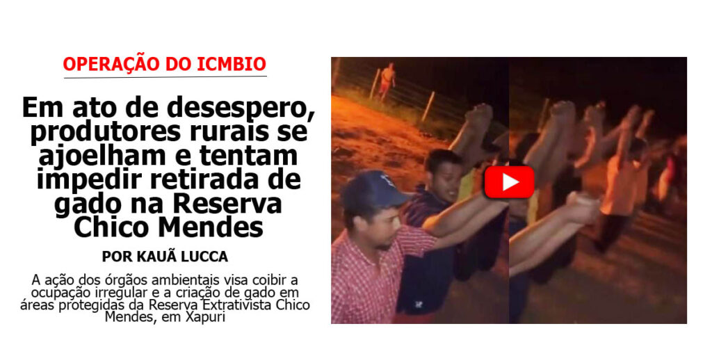 em-ato-de-desespero,-produtores-rurais-se-ajoelham-e-tentam-impedir-retirada-de-gado-na-reserva-chico-mendes