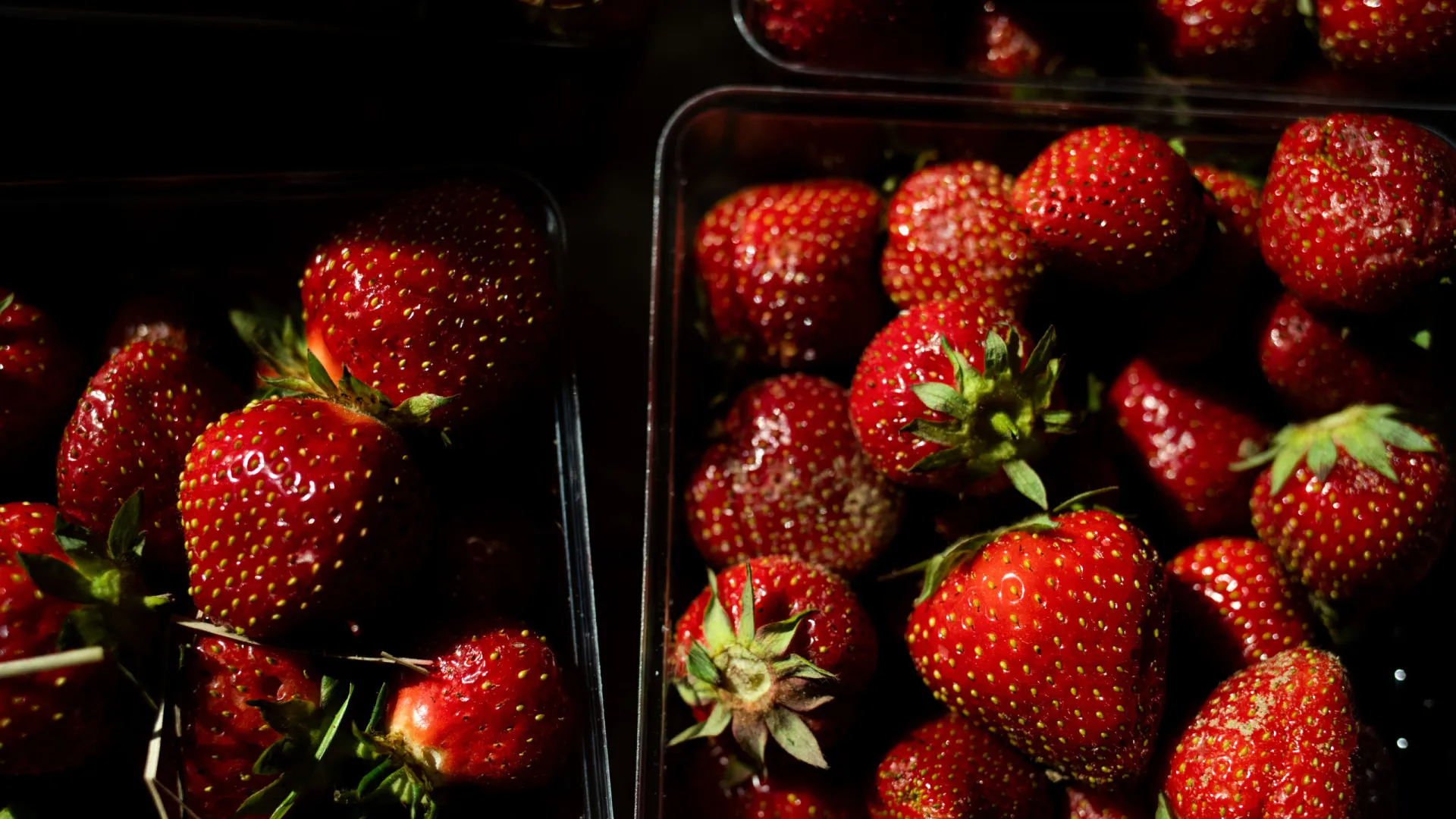 alimentos-com-pouquissimas-calorias