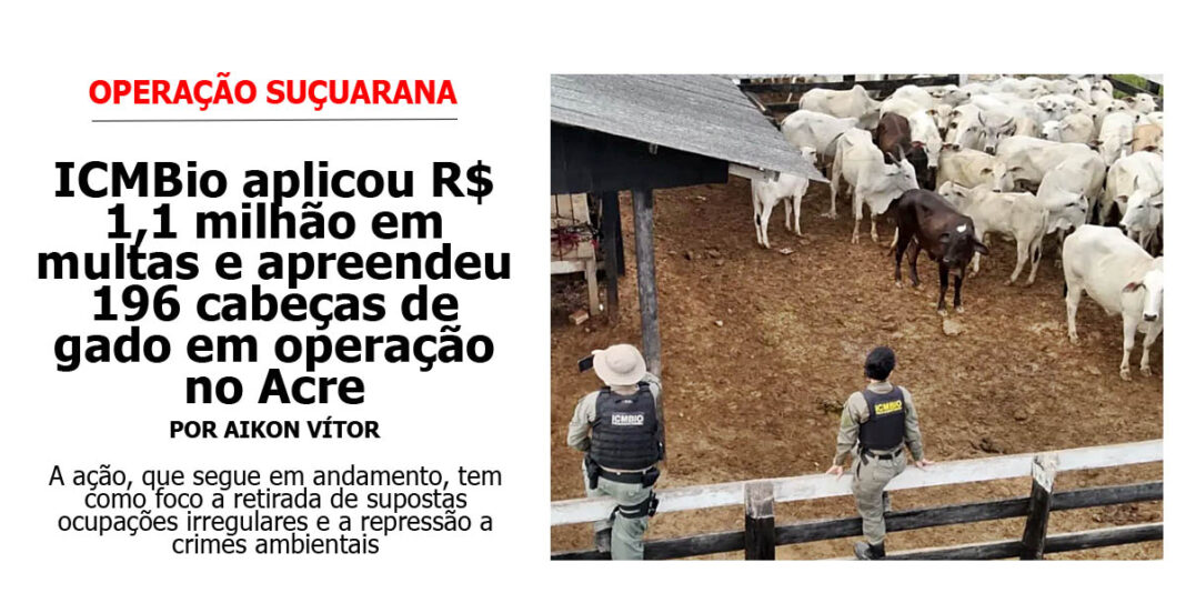icmbio-ja-aplicou-r$-1,1-milhao-em-multas-e-apreendeu-196-cabecas-de-gado-em-operacao-na-resex-chico-mendes
