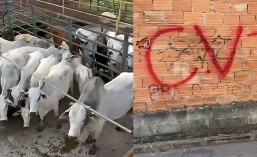 homem-que-ameacou-matar-dono-de-frigorifico-se-retrata-e-nega-participacao-do-cv