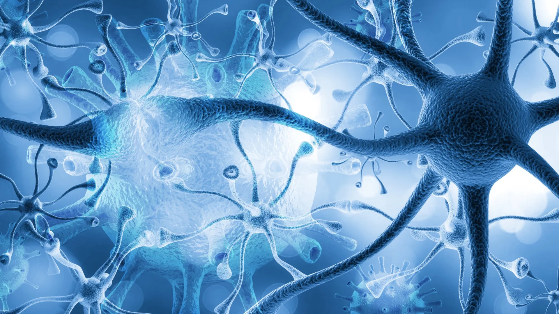 infeccao-por-parasita-comum-pode-prejudicar-seriamente-a-funcao-cerebral